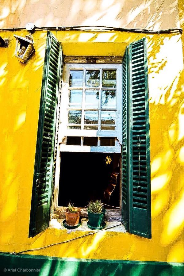 Mi Independencia Hostel Mendoza Dış mekan fotoğraf